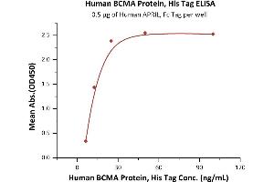 ELISA image for Tumor Necrosis Factor Receptor Superfamily, Member 17 (TNFRSF17) (AA 1-54) (Active) protein (His tag) (ABIN4949075)