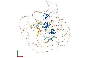 Protein Structure (PS) image for Sorbin and SH3 Domain Containing 2 (Sorbs2) (AA 1-1100) protein (His tag) (ABIN7555592)