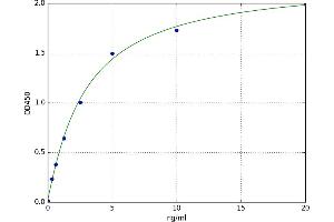 A typical standard curve