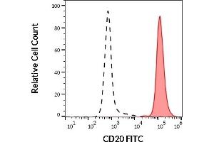 Separation of human CD20 positive lymphocytes (red-filled) from neutrophil granulocytes (black-dashed) in flow cytometry analysis (surface staining) of human peripheral whole blood stained using anti-human CD20 (LT20) FITC antibody (20 μL reagent / 100 μL of peripheral whole blood). (CD20 抗体  (FITC))