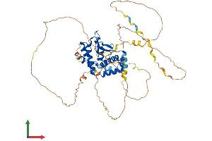 Protein Structure (PS) image for Nuclear Factor I/A (NFIA) (AA 1-509) protein (His tag) (ABIN7549698)