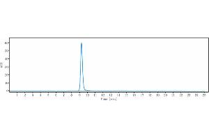 anti-PDCD1 (Sasanlimab Biosimilar) antibody