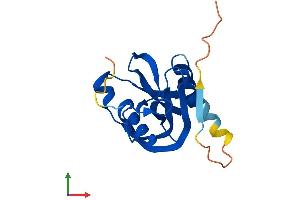 AlphaFold protein structure predicition of Human Recombinant NUDT3 Protein, UniprotID O95989