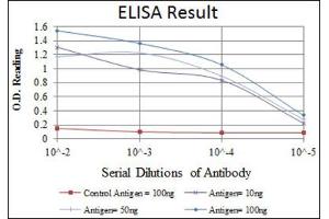 Red: Control Antigen (100ng) ; Purple: Antigen (10ng) ; Green: Antigen (50ng) ; Blue: Antigen (100ng). (OLIG2 抗体)