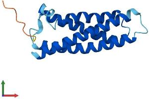 Protein Structure (PS) image for Myelin and Lymphocyte Protein, T Cell Differentiation Protein (MAL) (AA 1-153) protein (His tag) (ABIN7562257)