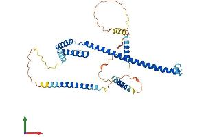 Protein Structure (PS) image for Surfeit 6 (SURF6) (AA 1-361) protein (His tag) (ABIN7544044)