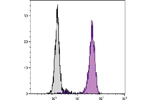 Human peripheral blood granulocytes were stained with Mouse Anti-Human CD16-BIOT. (CD16 抗体  (Biotin))