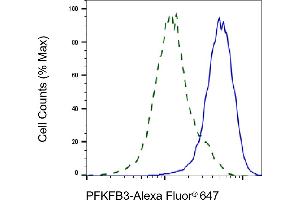 Validation of PFKFB3 knockdown using flow cytometry.