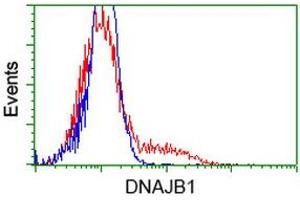HEK293T cells transfected with either RC201762 overexpress plasmid (Red) or empty vector control plasmid (Blue) were immunostained by anti-DNAJB1 antibody (ABIN2454069), and then analyzed by flow cytometry. (DNAJB1 抗体)