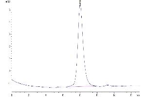 Size-exclusion chromatography-High Pressure Liquid Chromatography (SEC-HPLC) image for Mucosal Vascular Addressin Cell Adhesion Molecule 1 (MADCAM1) (AA 22-364) protein (His tag) (ABIN7275238)