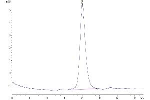 The purity of Mouse MADCAM1 is greater than 95 % as determined by SEC-HPLC. (MADCAM1 Protein (AA 22-364) (His tag))