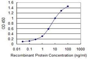 Detection limit for recombinant GST tagged MBTPS1 is 0. (MBTPS1 抗体  (AA 246-355))