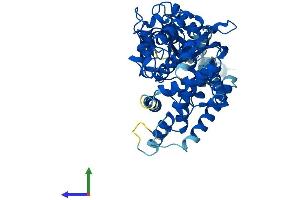 AlphaFold protein structure predicition of Human Recombinant CYP17A1 Protein, UniprotID P05093