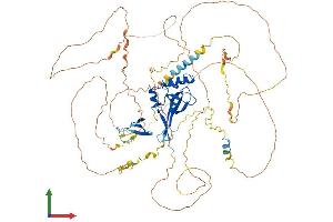 AlphaFold protein structure predicition of Human Recombinant PWWP2A Protein, UniprotID Q96N64 (PWWP2A Protein (AA 1-755) (His tag))
