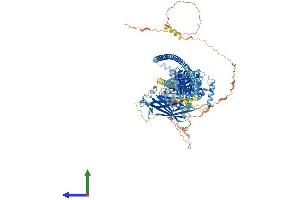 Protein Structure (PS) image for RAB GTPase Activating Protein 1 (RABGAP1) (AA 1-1064) protein (His tag) (ABIN7561966)