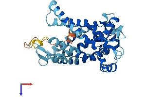 SLC25A16 Protein (AA 1-332) (His tag)