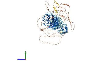Protein Structure (PS) image for SEC31 Homolog A (SEC31A) (AA 1-1220) protein (His tag) (ABIN7555360)