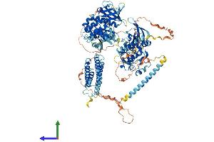 Protein Structure (PS) image for PTK2B Protein tyrosine Kinase 2 beta (PTK2B) (AA 1-1009) protein (His tag) (ABIN7565133)