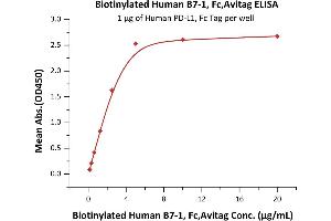 ELISA image for CD80 (CD80) (AA 35-242) (Active) protein (Fc Tag,AVI tag,Biotin) (ABIN4949000)