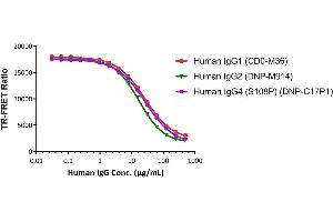 The kit has been used to detect different subclasses of Human IgG, which exhibit different IC50 results as expected. (人 FcRn binding Kit (TR-FRET))