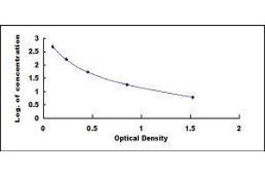 ELISA image for Lipotropin, beta - ELISA Kit (ABIN3159663) (Lipotropin, beta - ELISA 试剂盒)