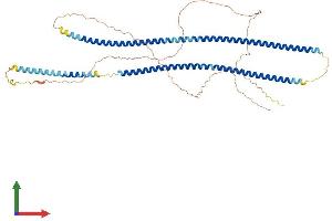Protein Structure (PS) image for Keratin 75 (KRT75) (AA 1-551) protein (His tag) (ABIN7558599)