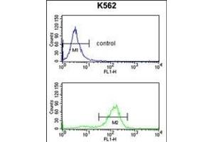 SDS Antibody (N-term) (ABIN652984 and ABIN2842624) flow cytometry analysis of K562 cells (bottom histogram) compared to a negative control cell (top histogram). (serine Dehydratase 抗体  (N-Term))