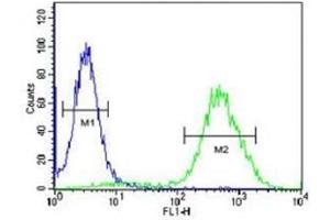 CCR1 antibody flow cytometric analysis of 293 cells (right histogram) compared to a negative control (left histogram). (CCR1 抗体  (AA 1-30))