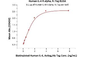 Immobilized Human IL-4 R alpha, Fc Tag (ABIN6731257,ABIN6809937) at 5 μg/mL (100 μL/well)can bind Biotinylated Human IL-4, Avitag,His Tag (ABIN3137668,ABIN5674029) with a linear range of 0.