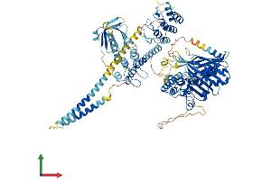 Protein Structure (PS) image for Oxysterol Binding Protein-Like 1A (OSBPL1A) (AA 1-950) protein (His tag) (ABIN7564812)