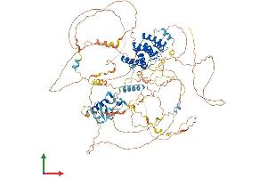 AlphaFold protein structure predicition of Human Recombinant LARP1B Protein, UniprotID Q659C4