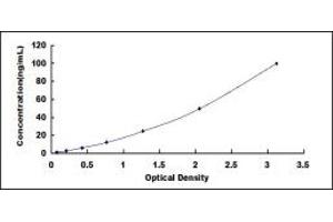 Typical standard curve (WNT5B ELISA 试剂盒)