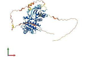 Protein Structure (PS) image for serine/threonine Kinase 32C (STK32C) (AA 1-486) protein (His tag) (ABIN7546365)