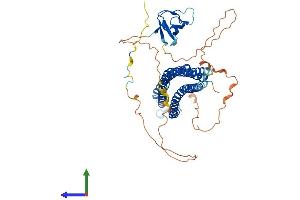 AlphaFold protein structure predicition of Mouse Recombinant Baiap2l1 Protein, UniprotID Q9DBJ3