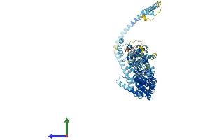 Protein Structure (PS) image for Component of Oligomeric Golgi Complex 7 (COG7) (AA 1-770) protein (His tag) (ABIN7557225)