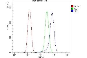Flow Cytometry analysis of U20S cells using anti-FLT1 antibody (ABIN7601014). (FLT1 抗体  (AA 27-399))