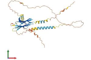 Protein Structure (PS) image for Poliovirus Receptor-Related Immunoglobulin Domain Containing (PVRIG) (AA 1-326) protein (His tag) (ABIN7551165)