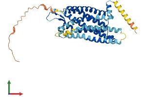 Protein Structure (PS) image for Growth Hormone Secretagogue Receptor (GHSR) (AA 1-364) protein (His tag) (ABIN7560451)