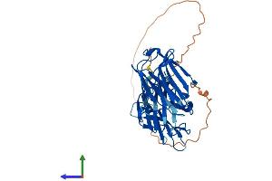 Protein Structure (PS) image for Lectin, Galactoside-Binding, Soluble, 9 (LGALS9) (AA 1-353) protein (His tag) (ABIN7562167)