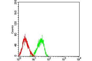 Flow cytometric analysis of HL-60 cells using TLL1 mouse mAb (green) and negative control (red). (TLL1 抗体  (AA 870-1013))