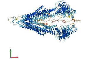 AlphaFold protein structure predicition of Mouse Recombinant Abcb11 Protein, UniprotID Q9QY30 (ABCB11 Protein (AA 1-1321) (His tag))