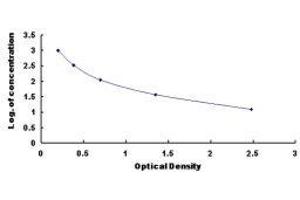 Kallikrein-Related Peptidase 12 (KLK12) ELISA Kit