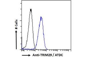 Flow Cytometry (FACS) image for anti-Tripartite Motif Containing 29 (TRIM29) (Internal Region) antibody (ABIN571104)