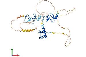 Protein Structure (PS) image for LIM Homeobox 9 (LHX9) (AA 1-397) protein (His tag) (ABIN7556276)