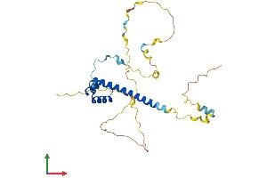Protein Structure (PS) image for T-Cell Leukemia Homeobox 2 (TLX2) (AA 1-284) protein (His tag) (ABIN7544510)