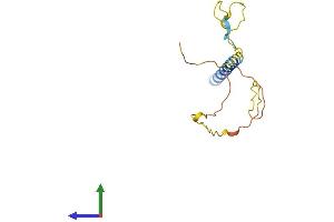 Protein Structure (PS) image for SLP Adaptor and CSK Interacting Membrane Protein (SCIMP) (AA 1-150) protein (His tag) (ABIN7557284)