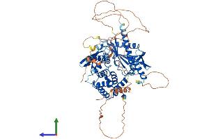 Protein Structure (PS) image for Spermatid Perinuclear RNA Binding Protein (STRBP) (AA 1-672) protein (His tag) (ABIN7564803)