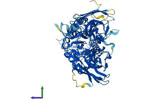 Protein Structure (PS) image for Protein Arginine Methyltransferase 7 (PRMT7) (AA 1-692) protein (His tag) (ABIN7552185)