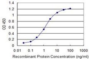 Detection limit for recombinant GST tagged SIN3A is 0. (SIN3A 抗体  (AA 1-99))