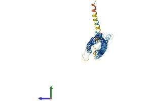 Protein Structure (PS) image for Glycoprotein M6A (GPM6A) (AA 1-278) protein (His tag) (ABIN7563188)